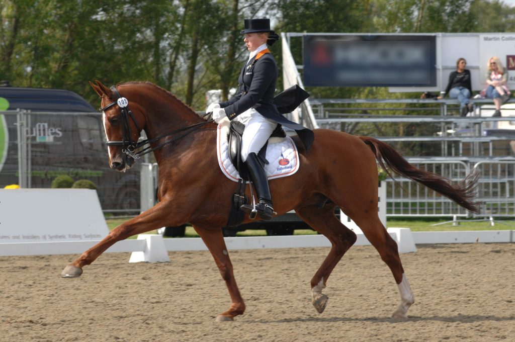 dressage