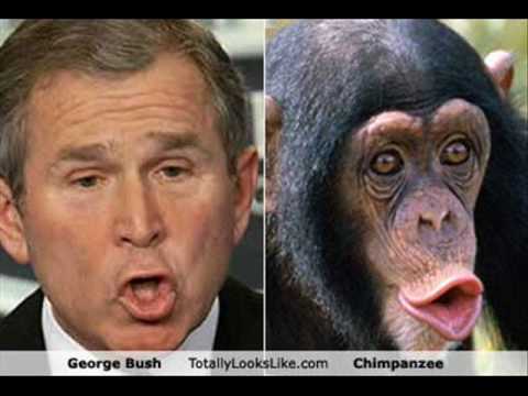 george-bush-chimp